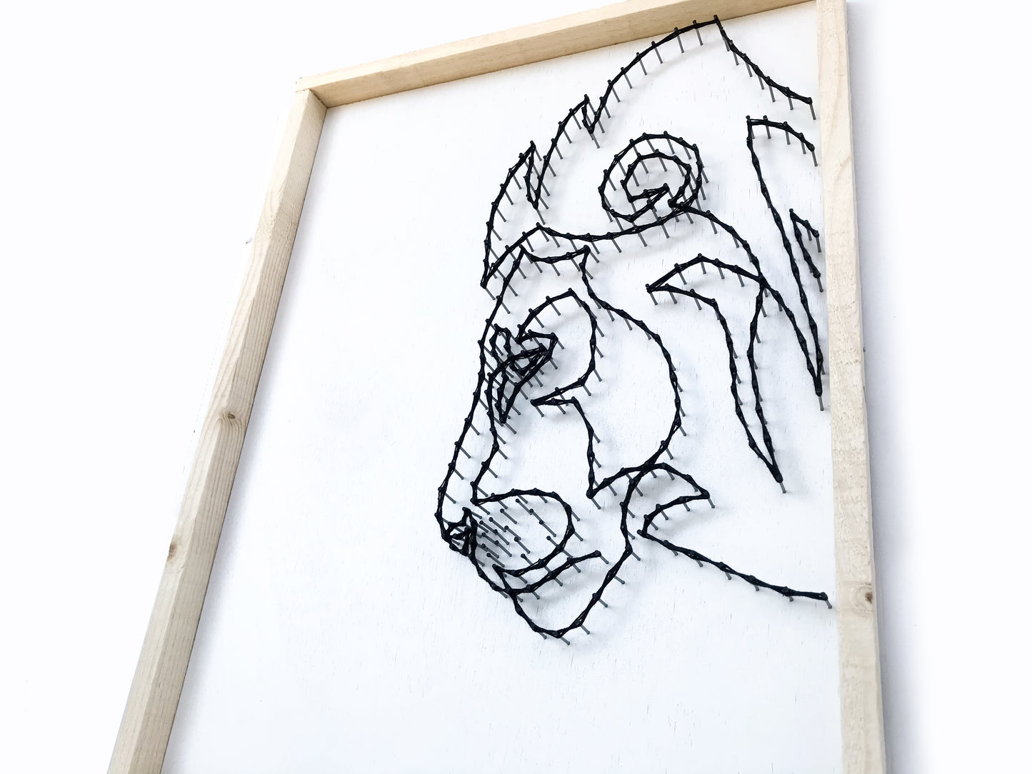 Lions triptych