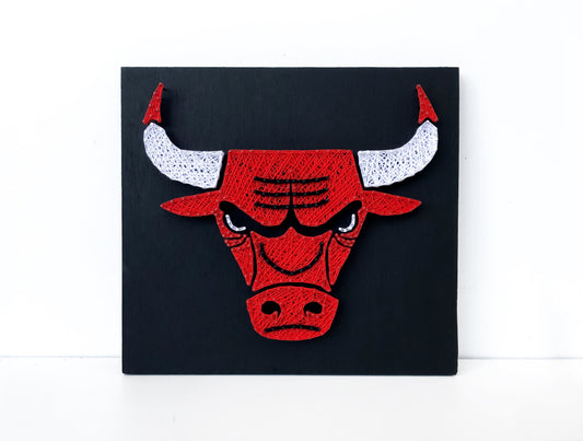 Chicago Bulls