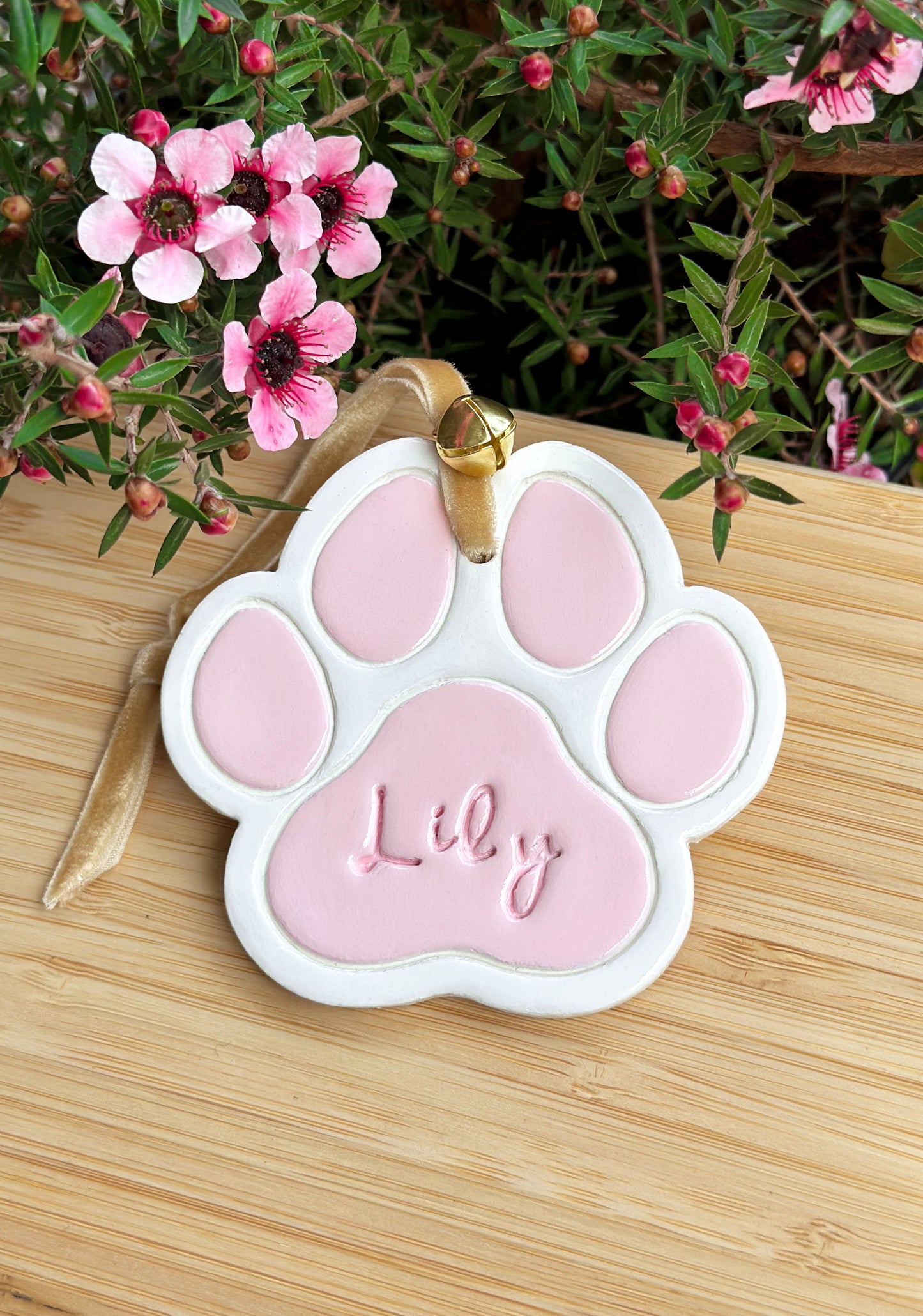 Little clay paw (colored)