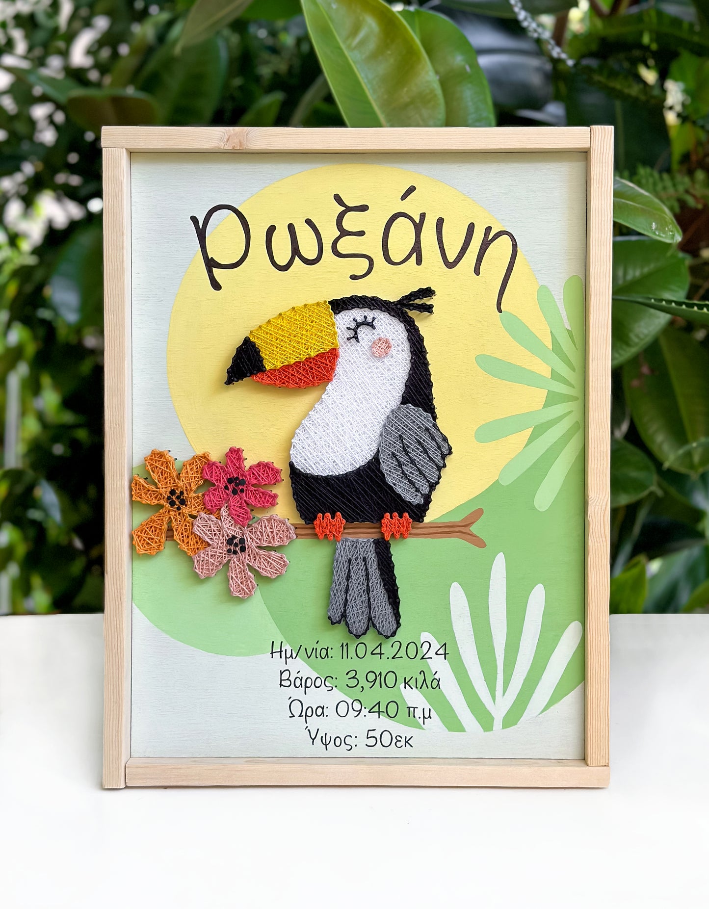 Toucan birth certificate