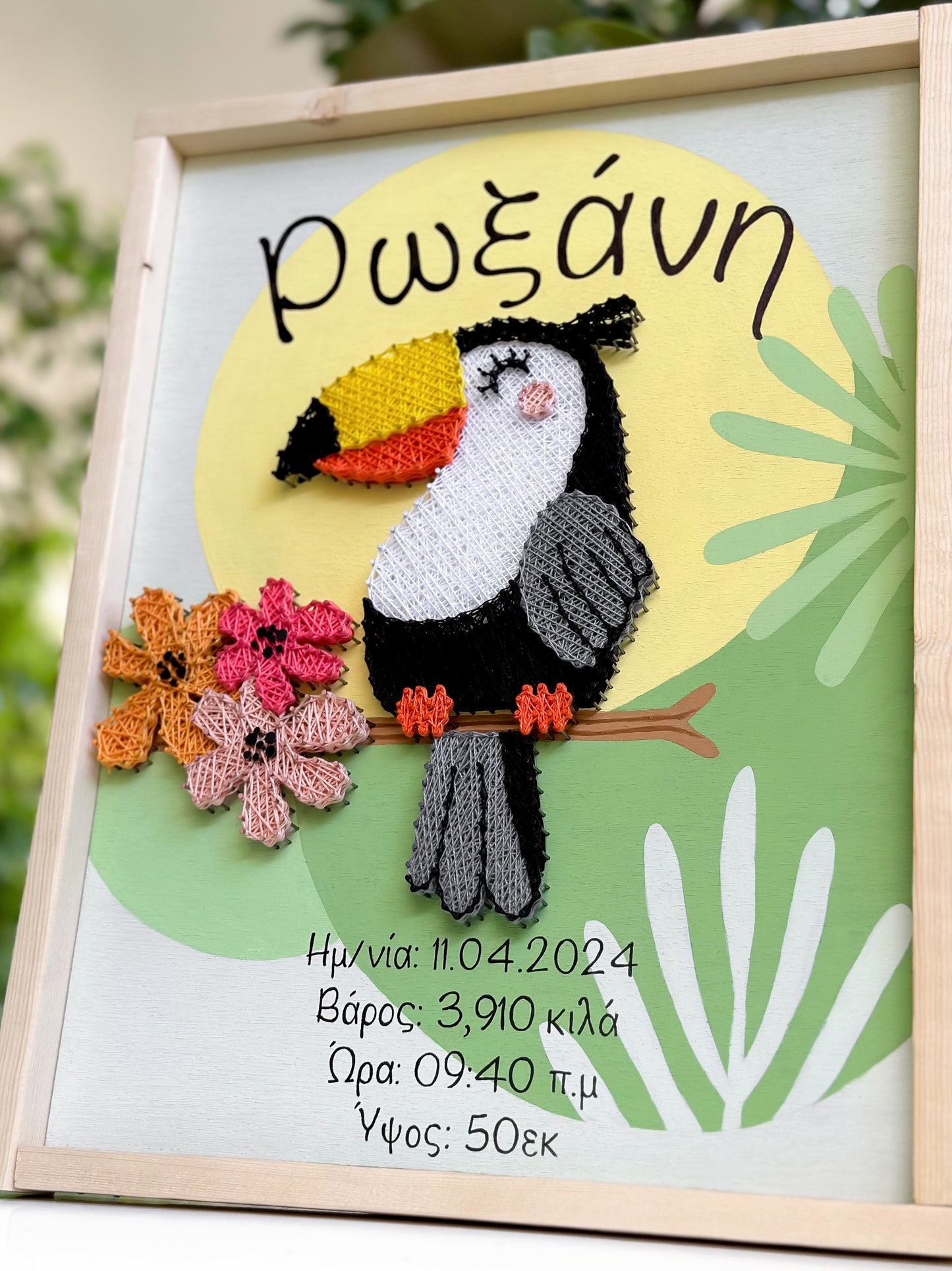 Toucan birth certificate