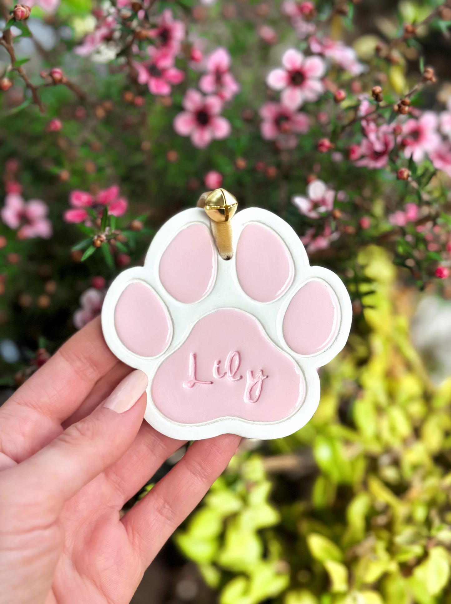 Little clay paw (colored)