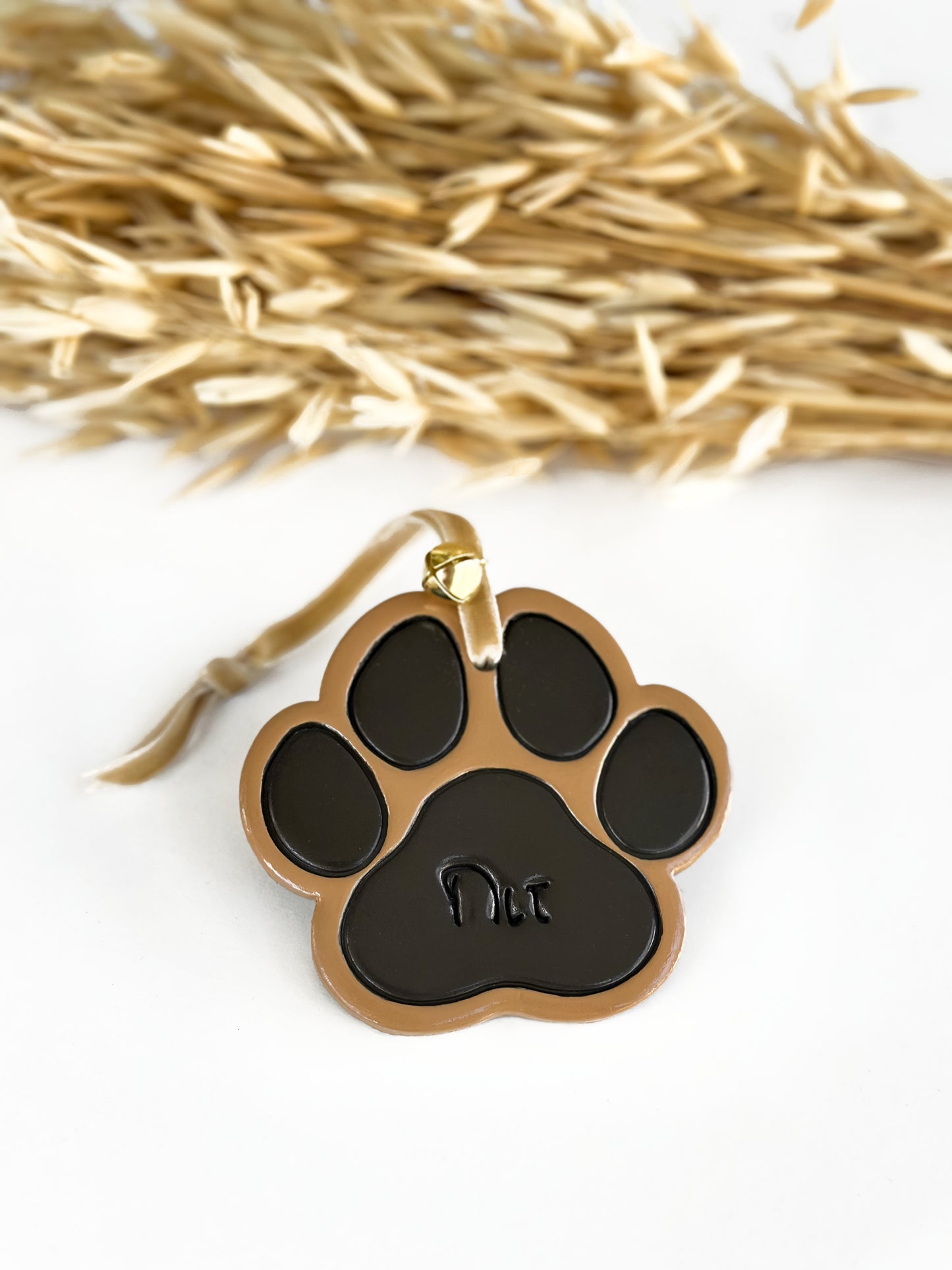 Little clay paw (colored)