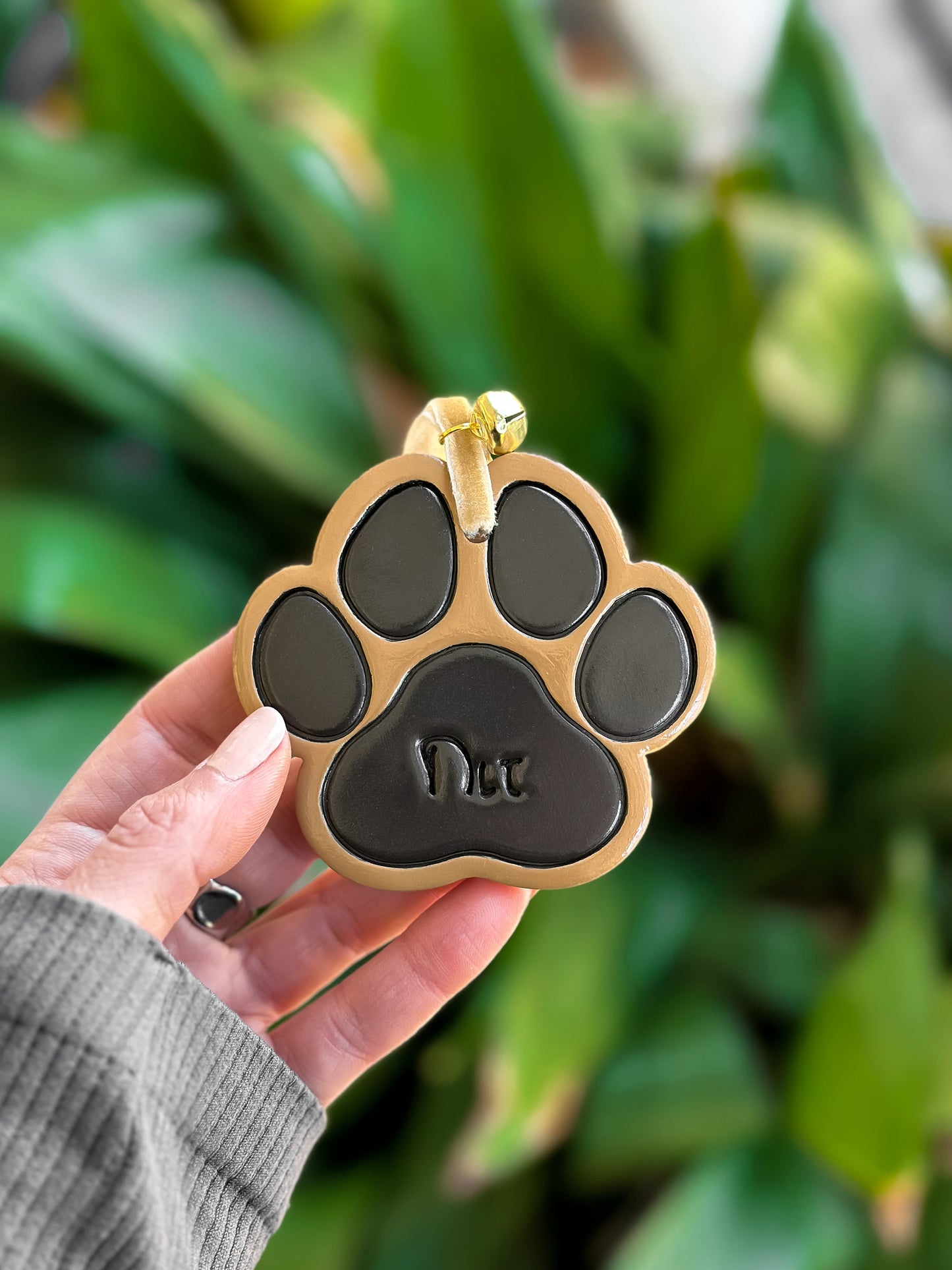 Little clay paw (colored)