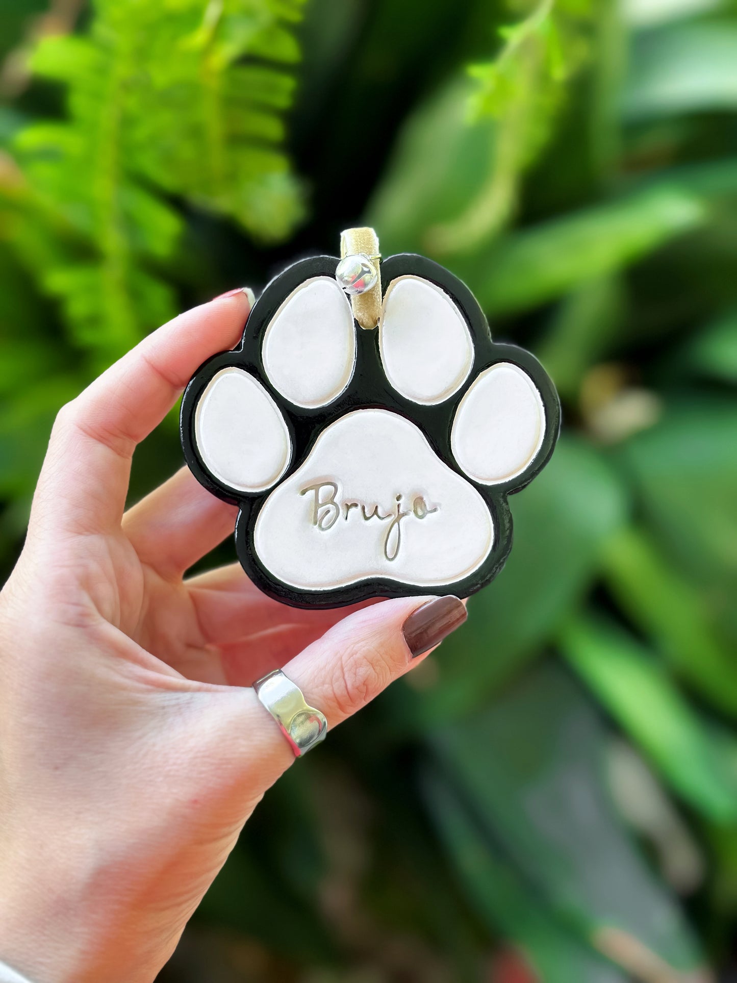 Little clay paw (colored)