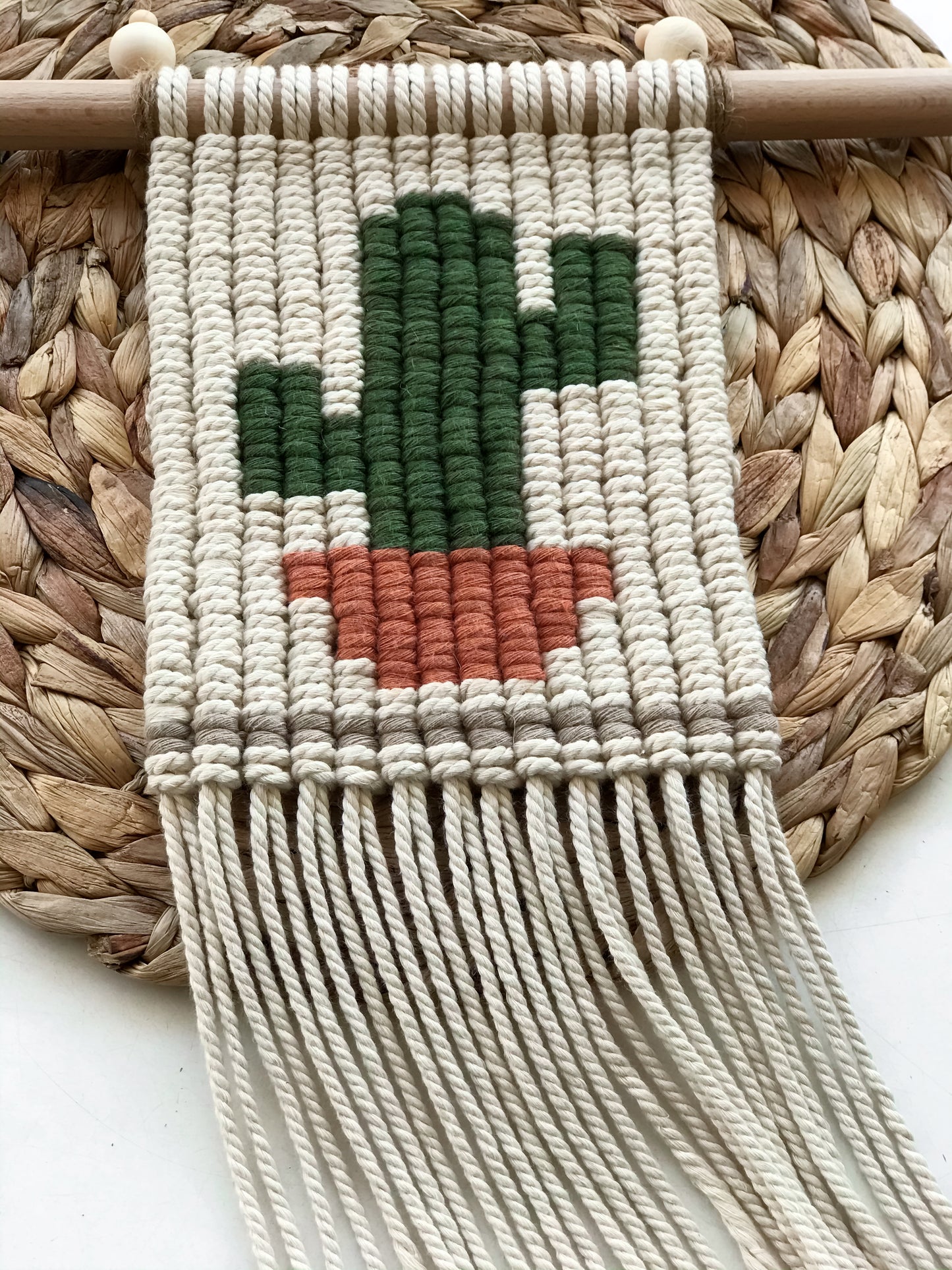 Cactus macramé