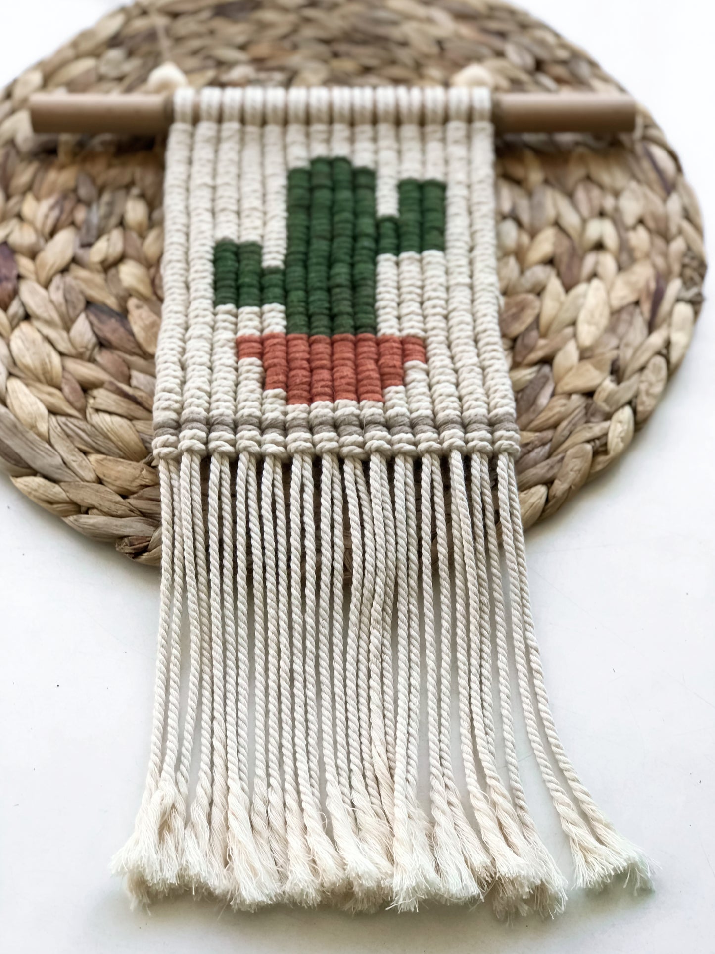 Cactus macramé