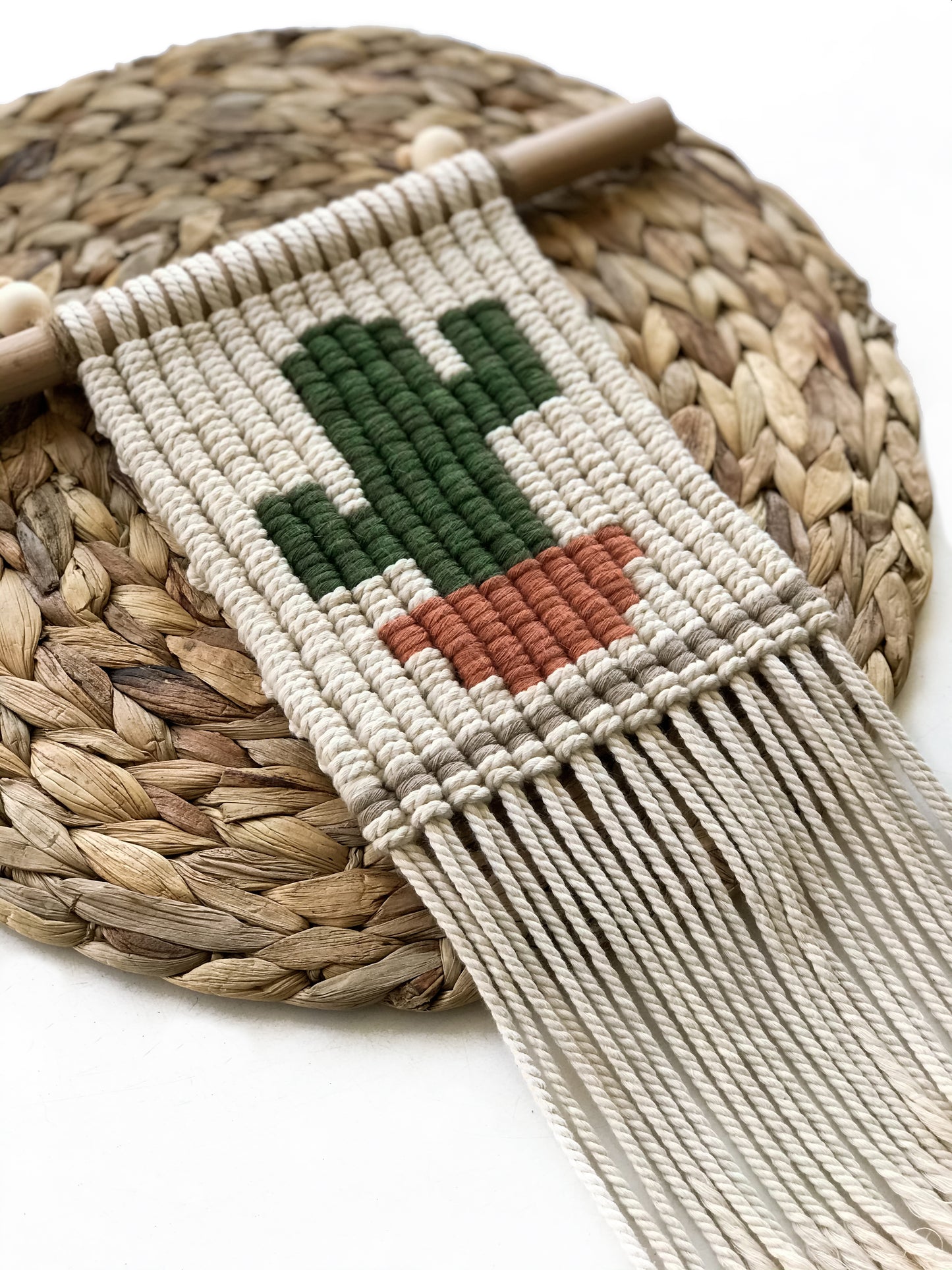 Cactus macramé