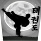 Taekwondo